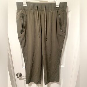 Eddie Bauer Womens Size Medium Departure Pull On Ankle Pants In Dark Thyme